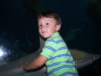 Alex at the ABQ Aquarium